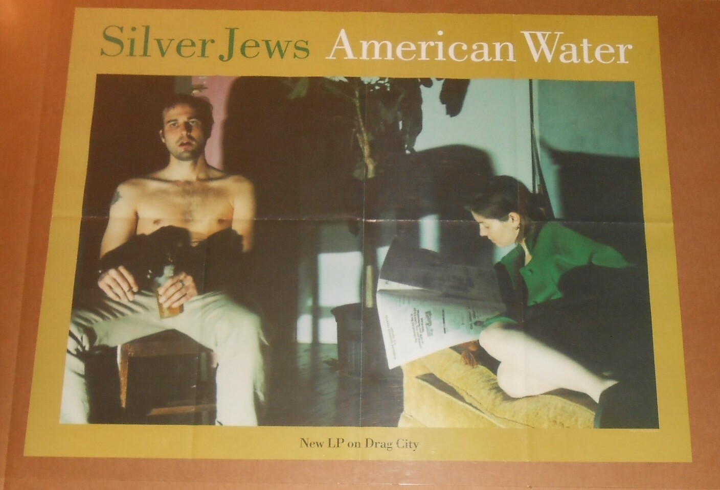 米LP Silver Jews The Natural Bridge DC101 Drag City /00260
