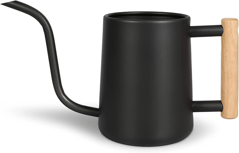 Watering Can for Indoor Plants, 35 oz/1000 ml Metal Stainless Steel Pot with Lon