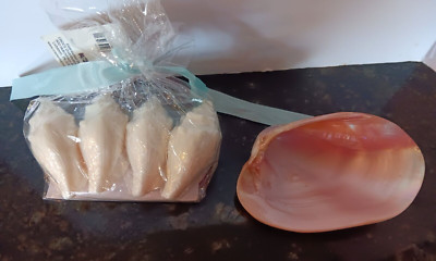 Polished Mother of Pearl Clam Shell Half & 4 Cracker Barrel Conch soaps