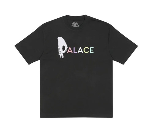 XL【在庫あり】PALACE X   TEE $_12.JPG?set_id=880000500F