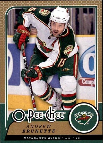 2008-09 O-Pee-Chee - Andrew Brunette #635