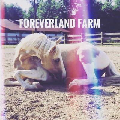 Foreverland Farm
