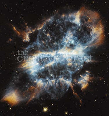NGC 5189, NASA Hubble Deep Space Reproduction Rolled Paper PRINT 24x25 in.
