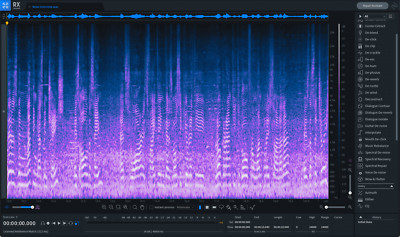 IZOTOPE 70-RX9ADV_UPRXEL RX 9 ADVANCED: UPGRADE DA RX ELEMENTS/PLUGIN PACK SOFTW