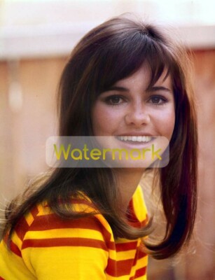 Young SALLY FIELD Stunning Color Portrait ** Fine Art Archival Photo (8.5''x11'')
