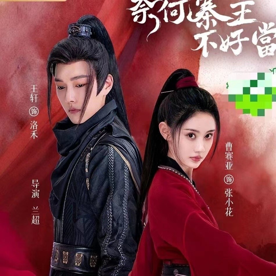 Chinese Drama TV zhai zhu bu hao dang DVD Chinese Sub HD