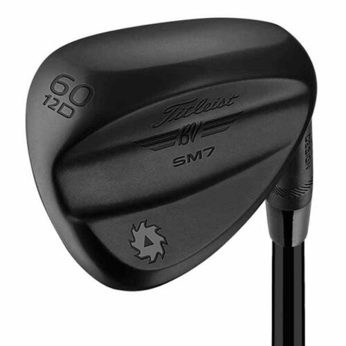 Kasco Dolphin Wedge DW-123 AW Wedge NS Pro 950GH neo WEDGE Kasco Dolphin Wedge DW-123 AW Wedge NS Pro 950GH neo WEDGE