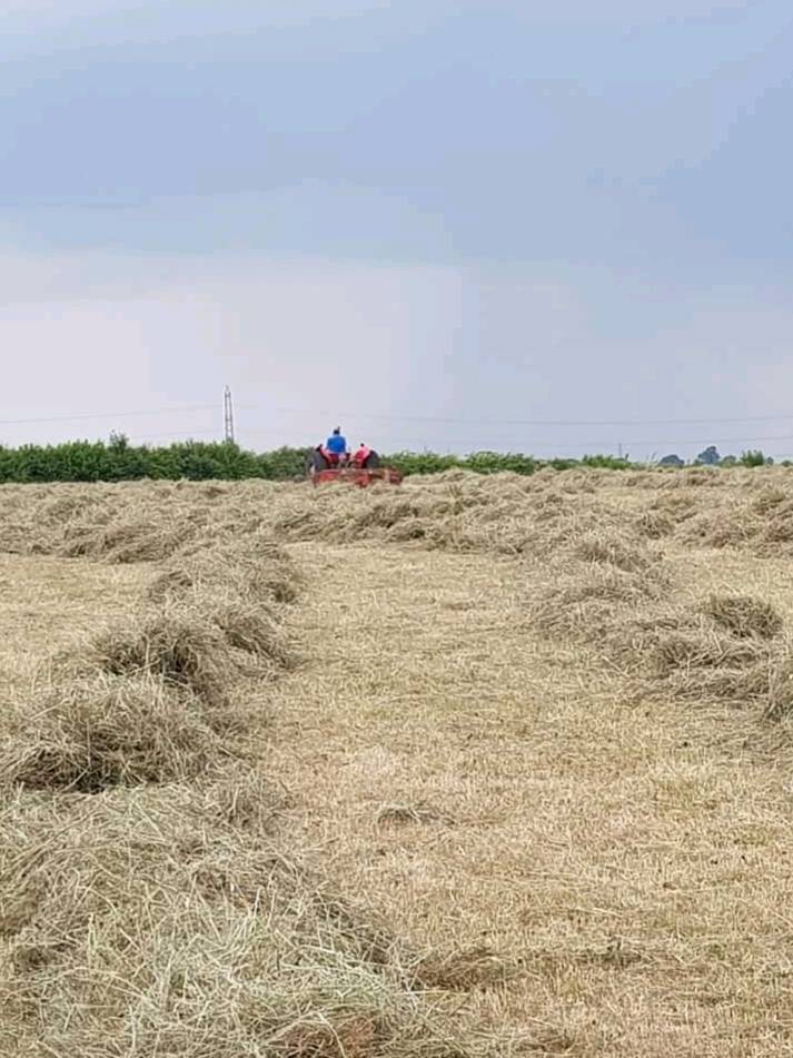 Hay for sale in Randalstown, County Antrim Gumtree