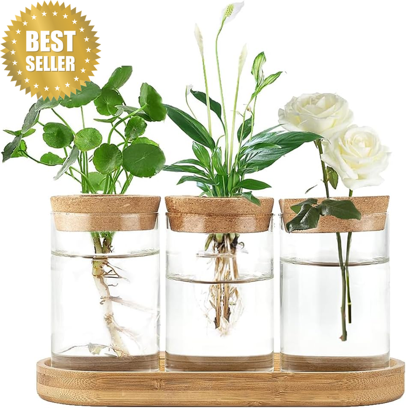 3Pcs Hydroponic Glass Vase Plant Propagation Station Clear Planter with Wood Sta