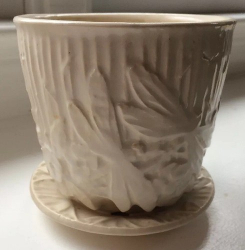 McCoy Medium Dragonfly Pot & Saucer - White