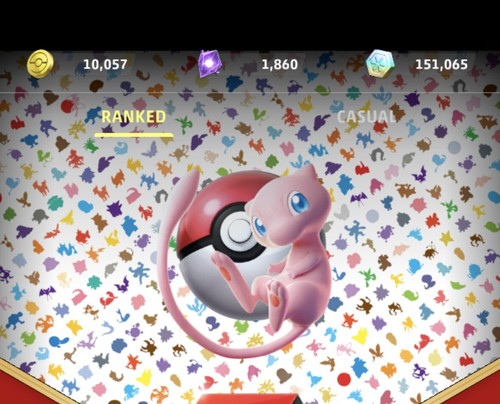 Photos de l'objet d'un acheteur vérifié