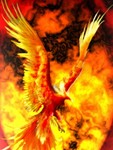 compra_sin_riesgo1