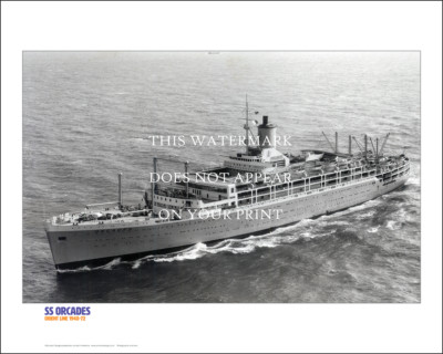 SS Orcades Orient Line Ship Art Print   1948-72   20'' x 16'' Poster