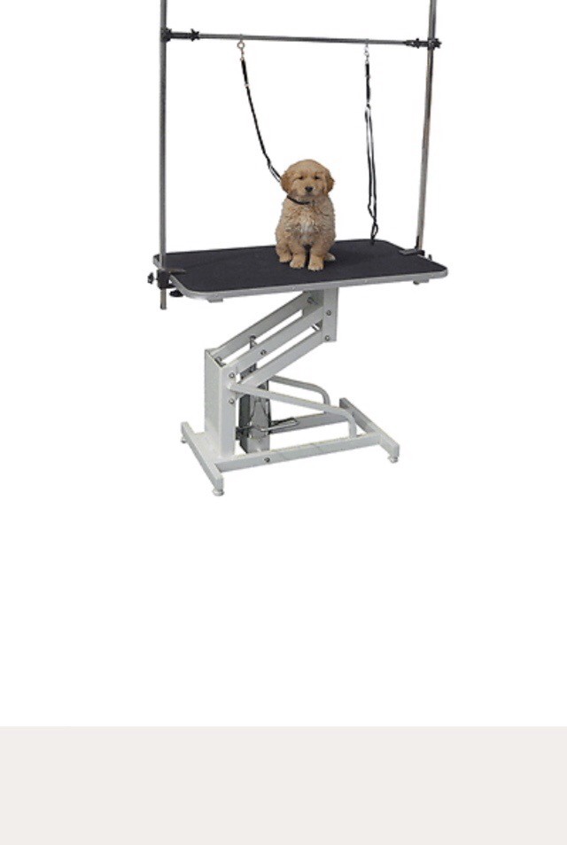 Professional hydraulic dog grooming table in New Moston, Manchester