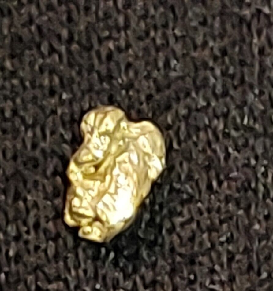 GOLD RUSH! (2) Authentic Alaskan Yukon Gold Nuggets / Genuine Natural Ore