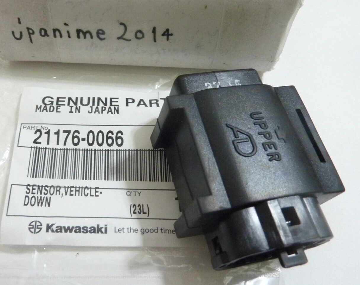キハダ sar PSA10 キハダSAR