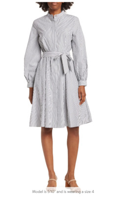 NEW Calvin Klein Striped Mandarin Collar Cotton A Line Shirt Dress CD2GBE1X Sz 2
