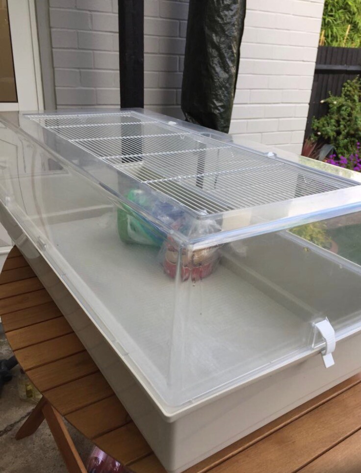 Duna multy Maxi cage for hamster/mouse in Hounslow, London Gumtree