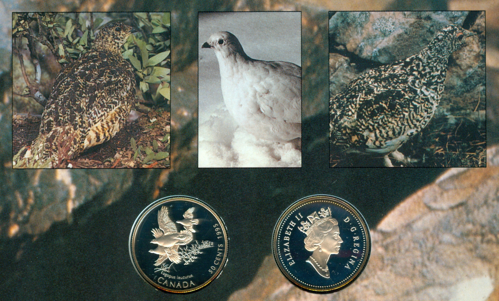 1995 CANADA GRAY JAY $ WHITE TAILED PTARMIGAN PROOF 50 CENTS SET