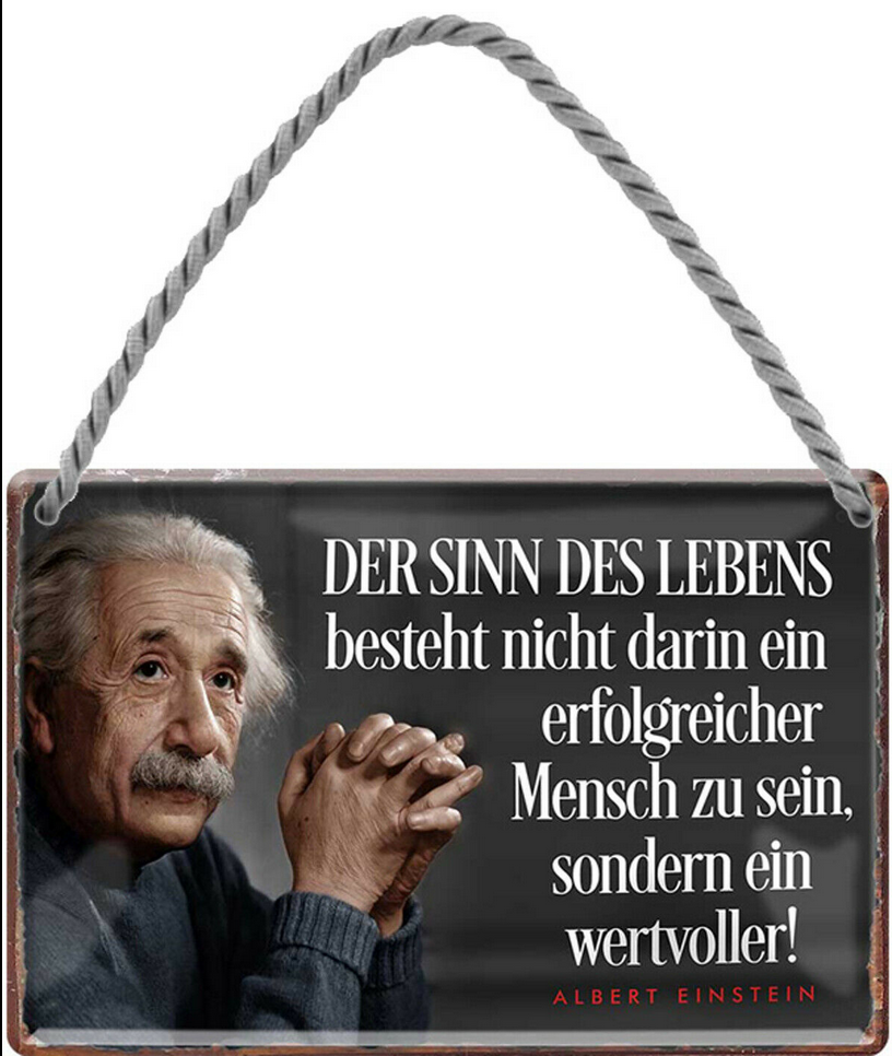 Hänge Blechschild 18x12 Einstein Zitat Der Sinn des Lebens Spruch Bar Kneipe Pub