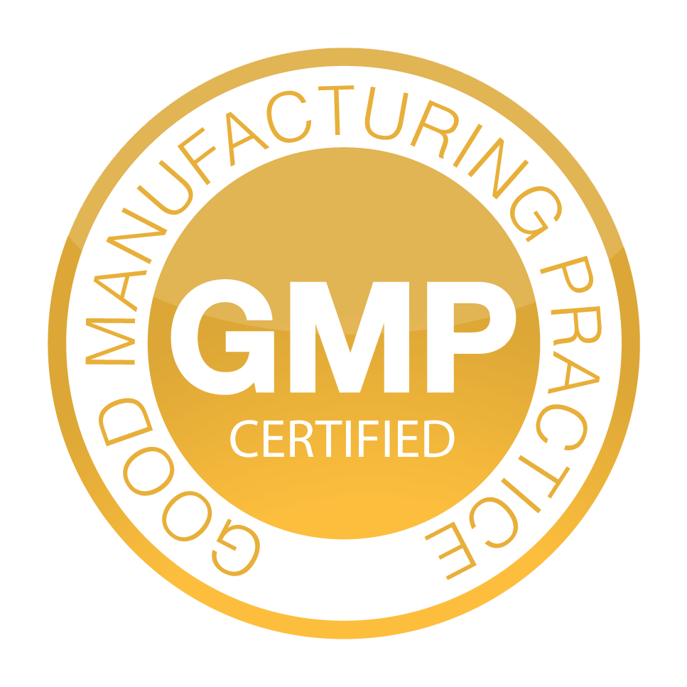 Gmp Studio
