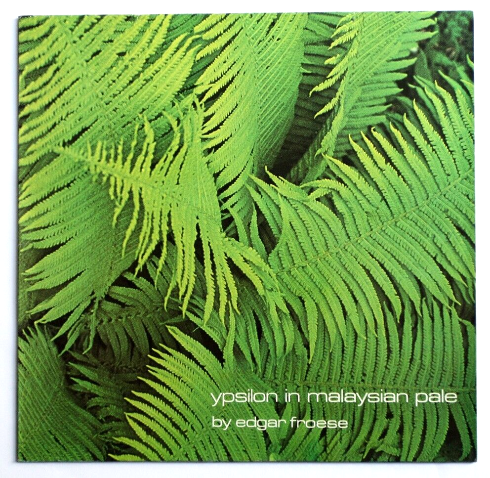 NM EDGAR FROESE Ypsilon in malaysian pale electronic germany