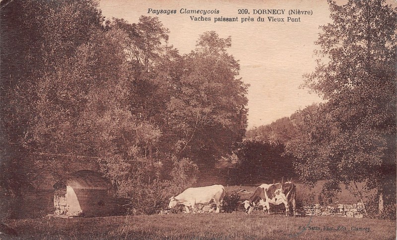 58-Dornecy-Nï¿½T2542-E/0047