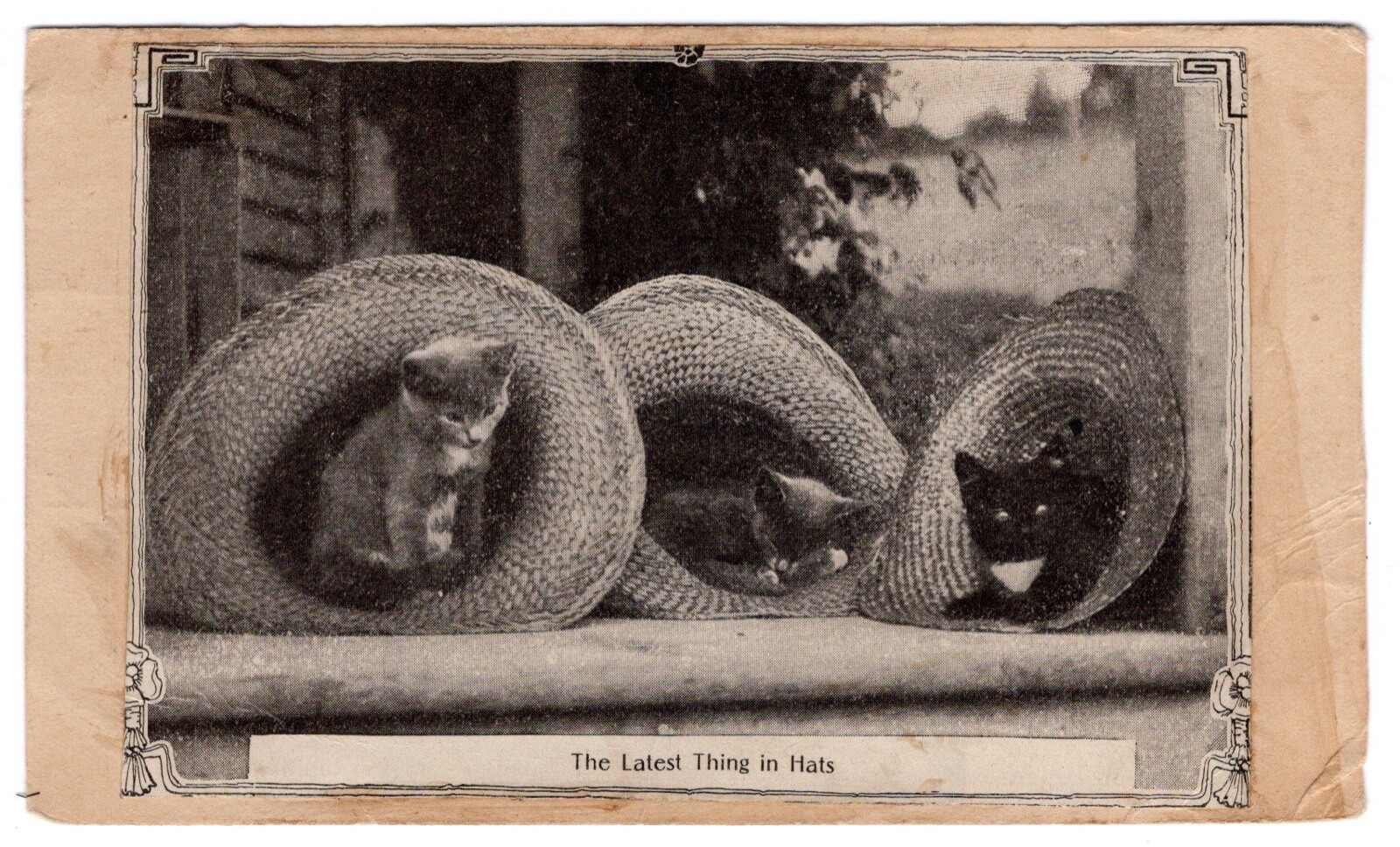 unoa 【Victorian cats Blue green】 Cynthia Hart's Victoriana Cats: Sewing with Kittens 1,000