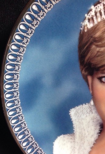 A Tribute To Princess Diana From The Franklin Mint Limited Edition HB9691