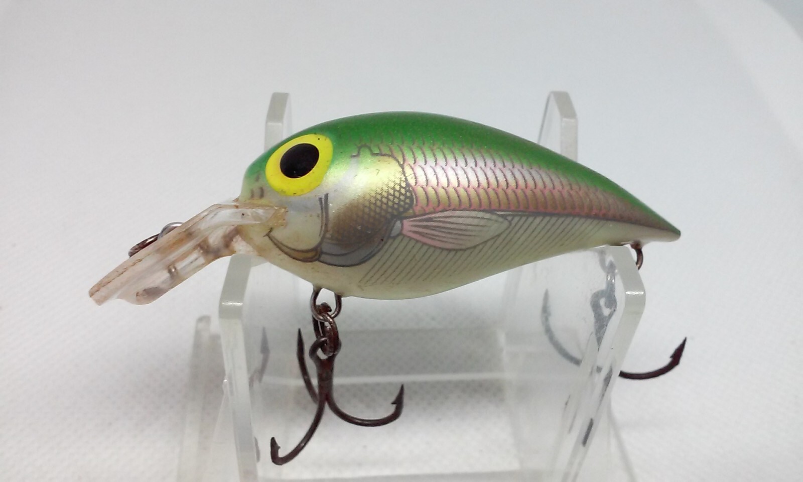 STORM SHORT WART クランクベイト STORM SHORT WART クランクベイト 2025年最新】ストーム