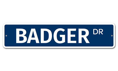 5191 SS Badger 4'' x 18'' Novelty Street Sign Aluminum