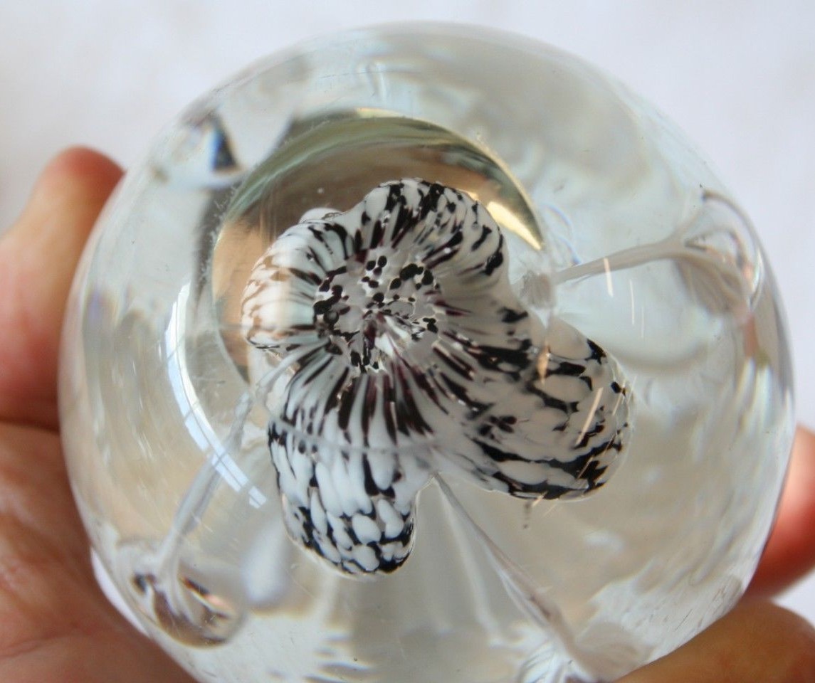 Paperweight Art Glass Ice Pick Flower White Black attributed to John Gentile