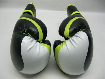 Sanabul Essential 12 Oz. Training Boxing Gloves
