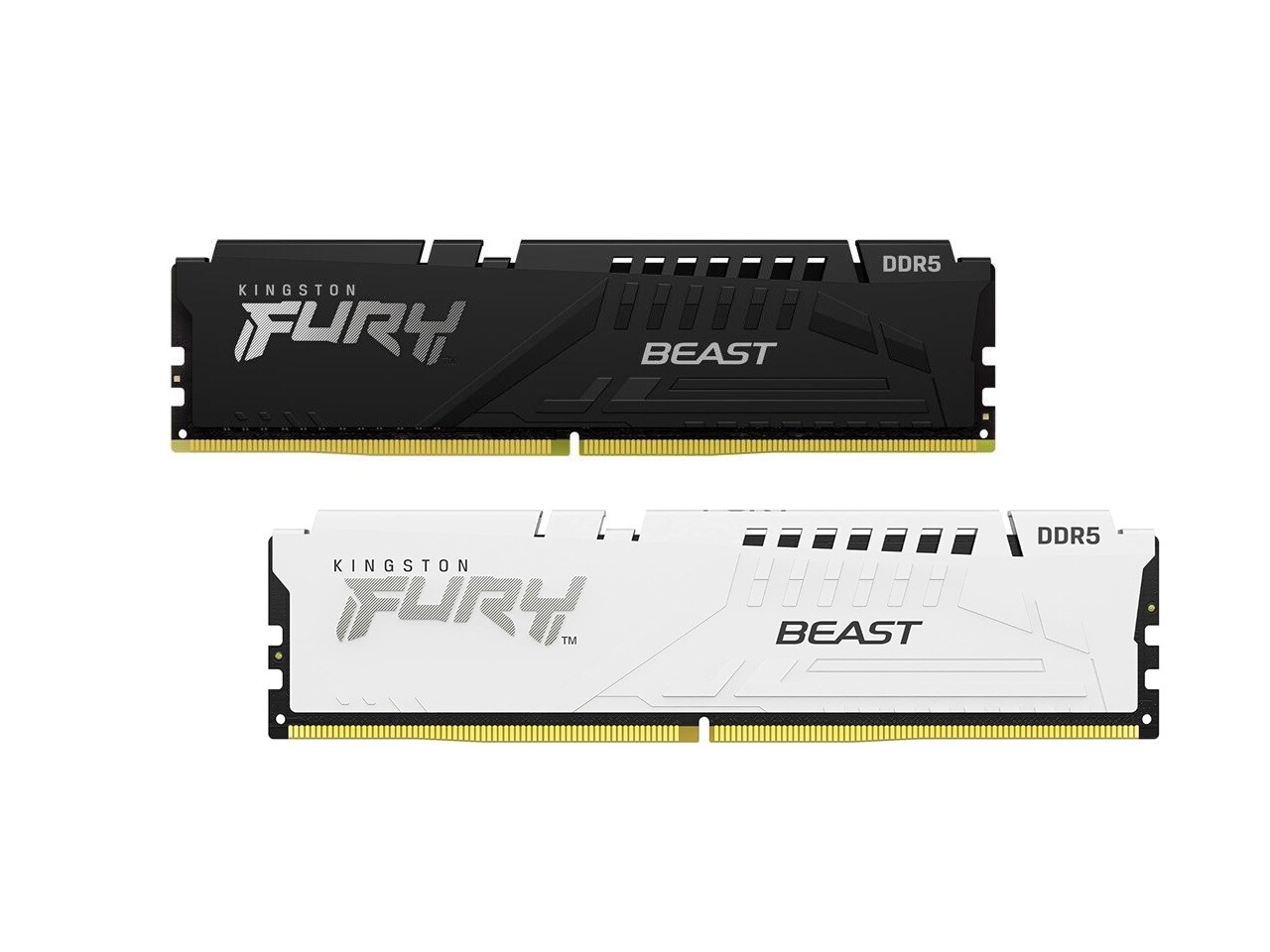 Kingston FURY Beast DDR5 SDRAM 16GB 32GB 64GB 128GB 288pin