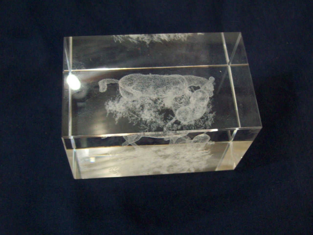 Clear Art Glass Paperweight Lazer Etched 3D Horses Home Decor