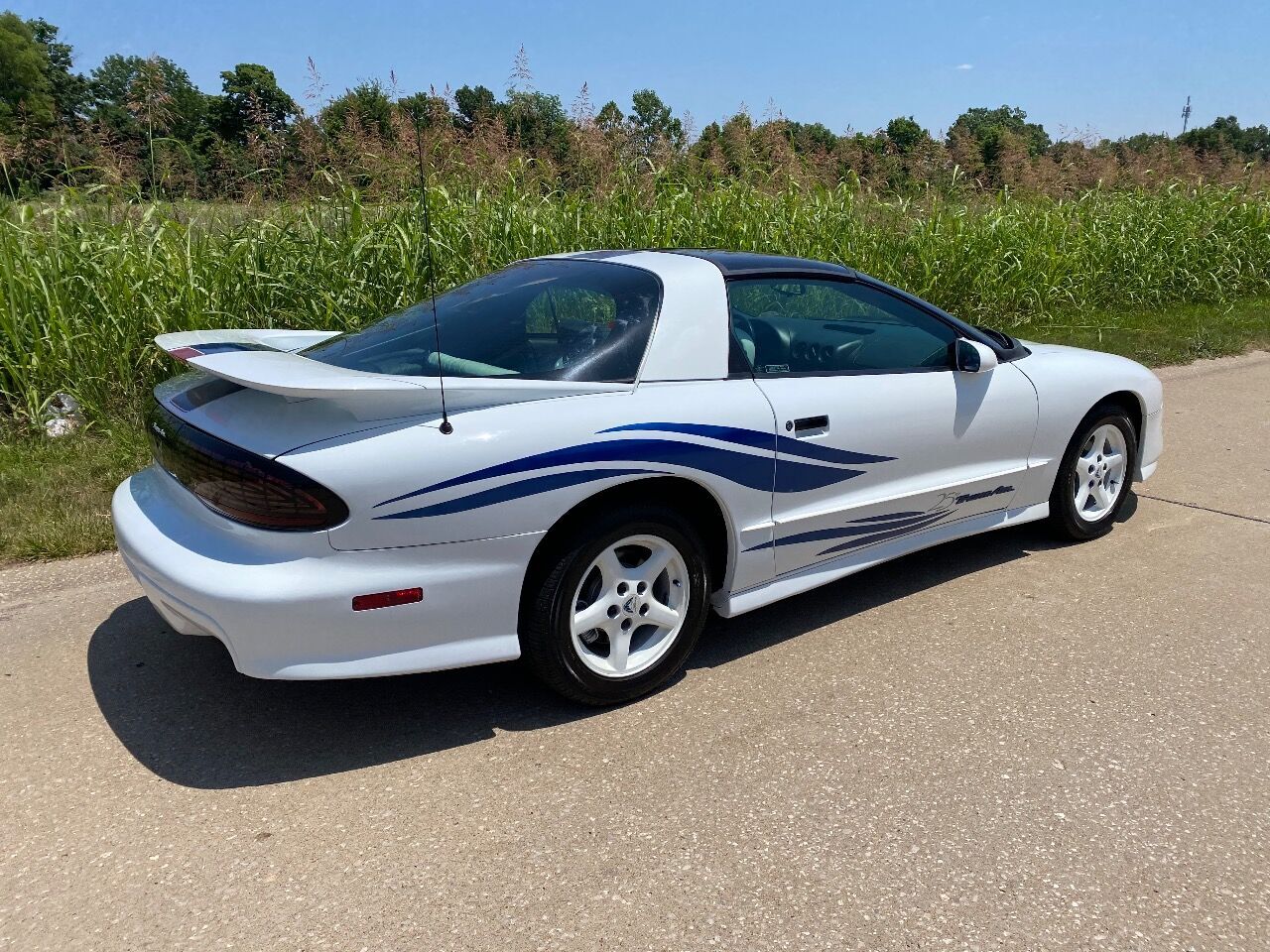 1994 Pontiac Firebird Trans Am 25th Anniversary 2dr Hatchback Used