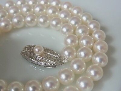 廃盤【MIKIMOTO】THE PEARL NECKLACE Mikimoto Pearl Necklace Sterling Silver 1950s Japan 17