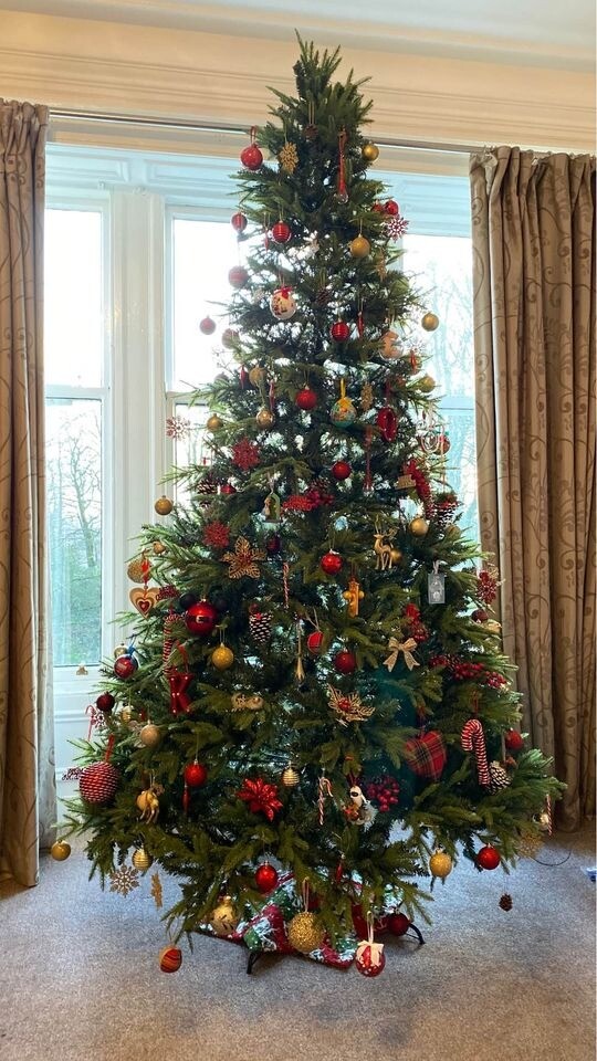 10ft Prelit Christmas Tree Dobbies Loch Tay in Kilbirnie, North