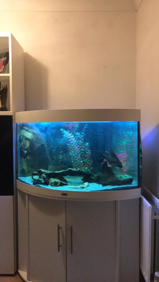 Jewel fish tank in Chichester, West Sussex Gumtree