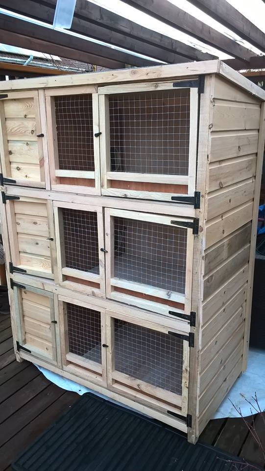 3 tier rabbit hutch 24 inch deep 48 inch wide 60 inch high felted roof
