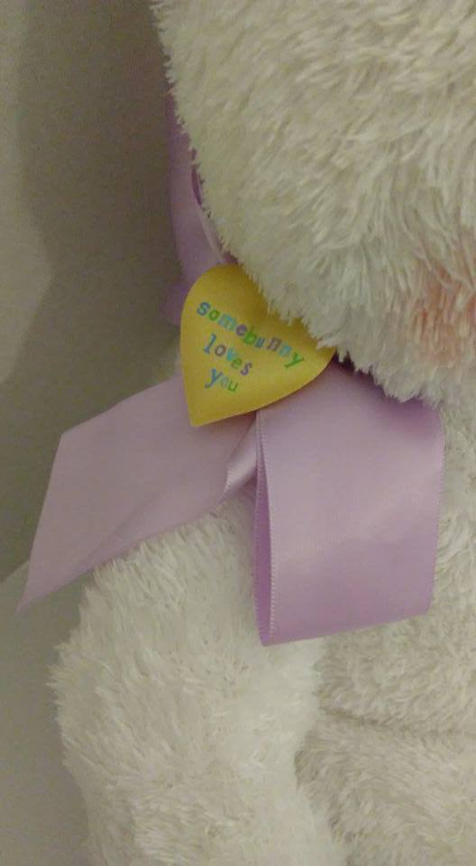 HALLMARK Cuddle Bunny PLUSH EASTER RABBIT ANIMAL Somebunny Loves You 19