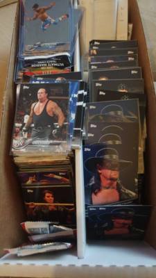 2018 Topps WWE Wrestling Base 1-100, Bronz, Evolution E1-E50 You Pick UPick Lot
