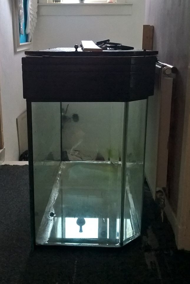 huge fish tank in Falkirk Gumtree