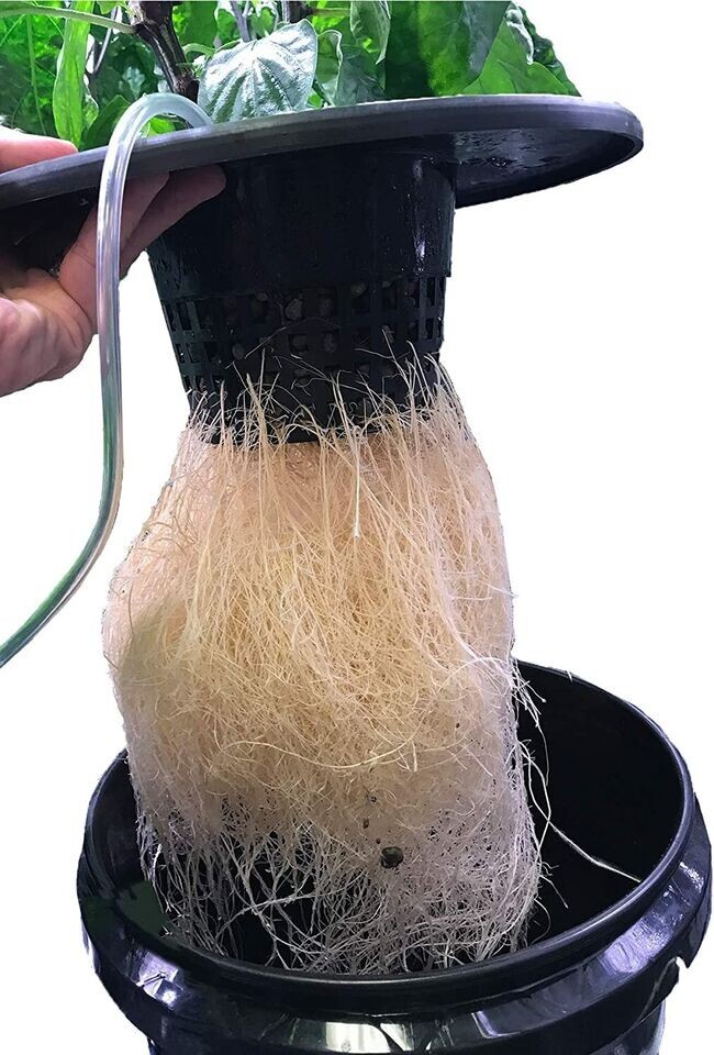 Wide Lip Net Pots BULK PRICE Pack of 25 for 5/3.5 Gallon Bucket DWC Basket Lids