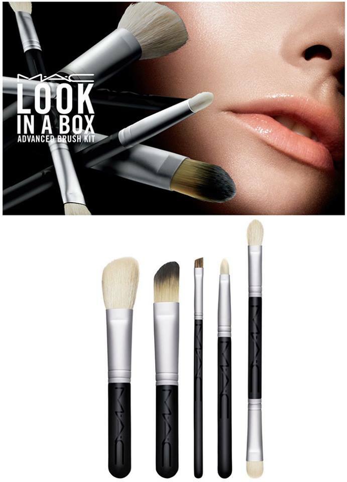 MAC Look In A Box: ADVANCED BRUSH KIT 168SE 193SE 208SE