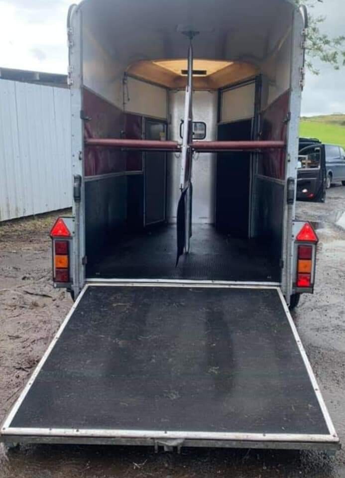 Ifor Williams 505 aluminium floor horse trailer in Linwood
