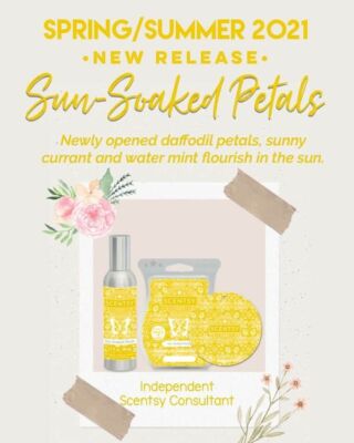 Scentsy Wax Bar for Warmer *NEW* PICK FAVORITE SCENTS WINTER TOP SELLING RETIRED