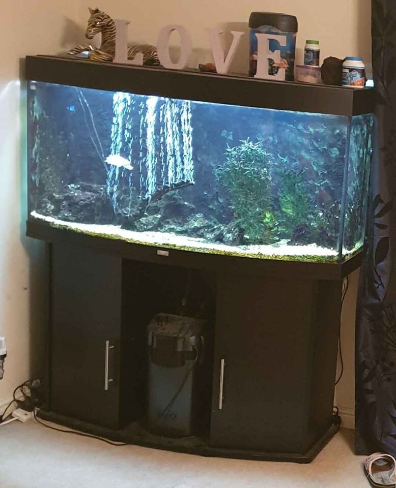 Juwel Vision 260 litre 4 foot fish tank in Caerphilly Gumtree