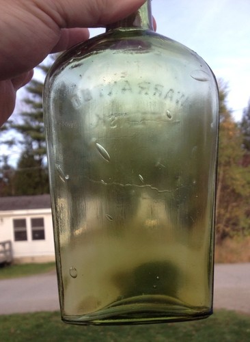 Celery Green Citron Warranteed Flask