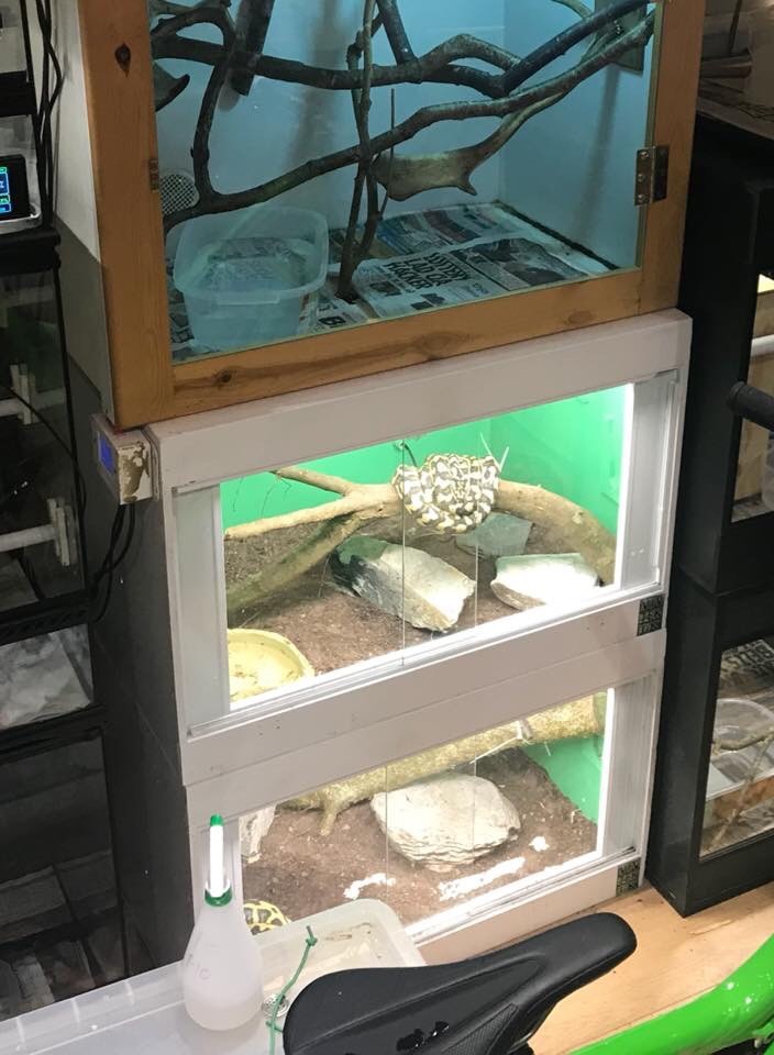 Viv tek vivarium pvc in Plymouth, Devon Gumtree